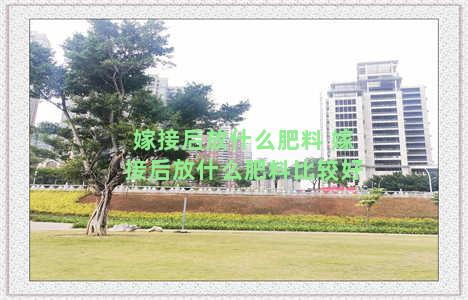 嫁接后放什么肥料 嫁接后放什么肥料比较好